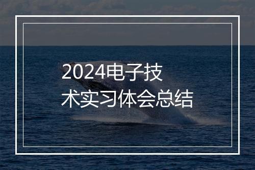 2024电子技术实习体会总结