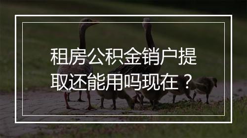 租房公积金销户提取还能用吗现在？