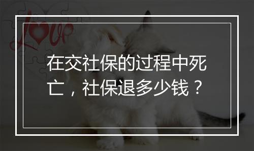 在交社保的过程中死亡，社保退多少钱？