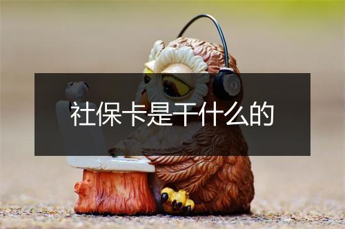 社保卡是干什么的