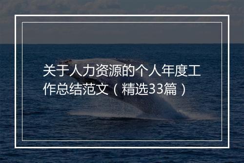 关于人力资源的个人年度工作总结范文（精选33篇）