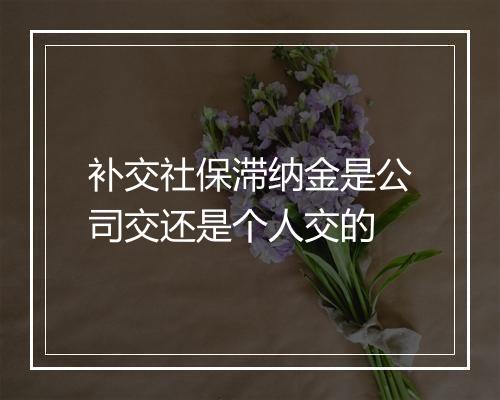 补交社保滞纳金是公司交还是个人交的