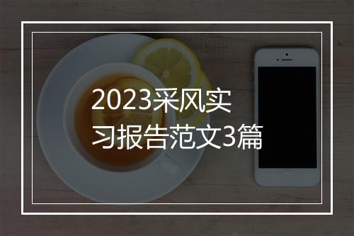 2023采风实习报告范文3篇