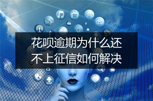 花呗逾期为什么还不上征信如何解决