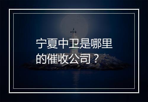宁夏中卫是哪里的催收公司？