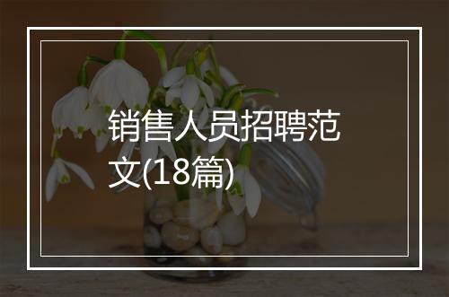 销售人员招聘范文(18篇)