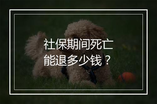 社保期间死亡能退多少钱？