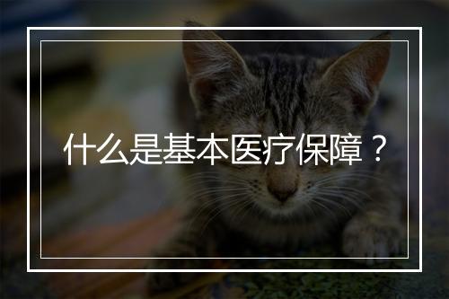什么是基本医疗保障？