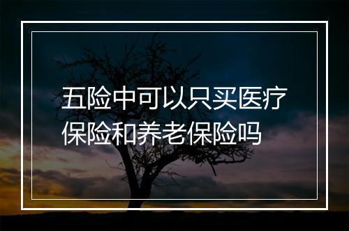 五险中可以只买医疗保险和养老保险吗