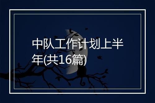中队工作计划上半年(共16篇)