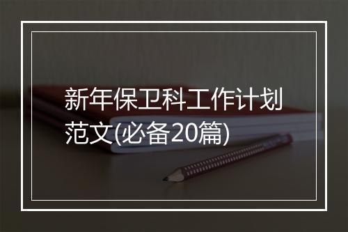 新年保卫科工作计划范文(必备20篇)