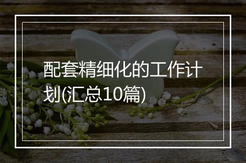 配套精细化的工作计划(汇总10篇)