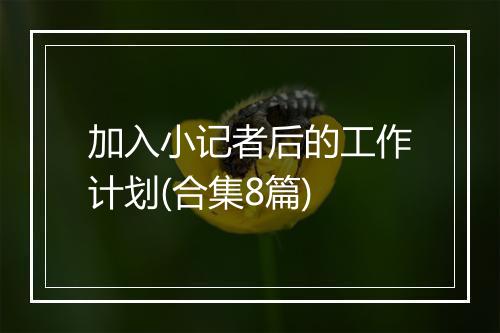 加入小记者后的工作计划(合集8篇)