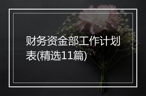 财务资金部工作计划表(精选11篇)