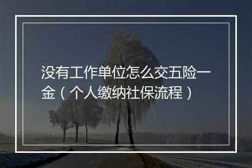 没有工作单位怎么交五险一金（个人缴纳社保流程）