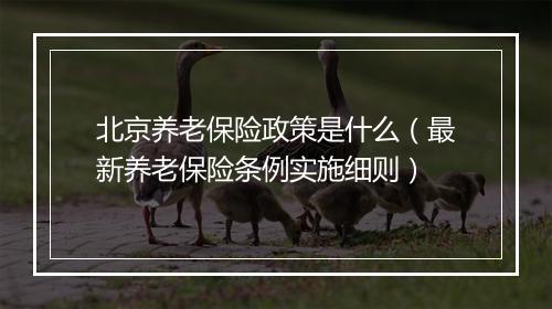 北京养老保险政策是什么（最新养老保险条例实施细则）