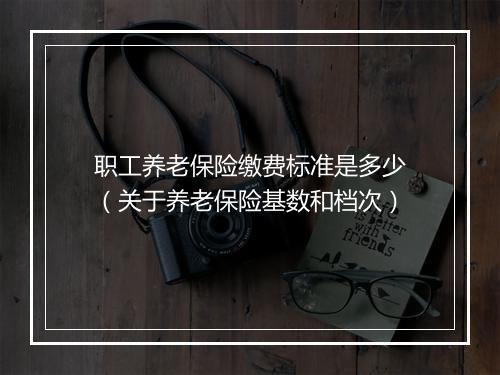 职工养老保险缴费标准是多少（关于养老保险基数和档次）