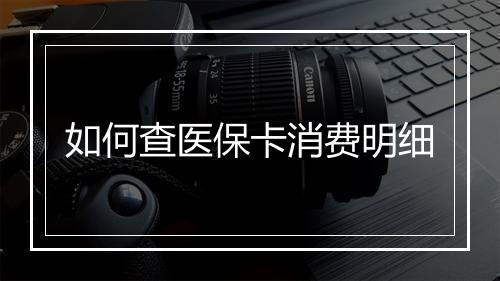 如何查医保卡消费明细