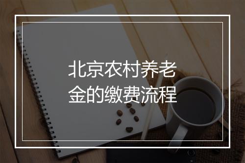 北京农村养老金的缴费流程