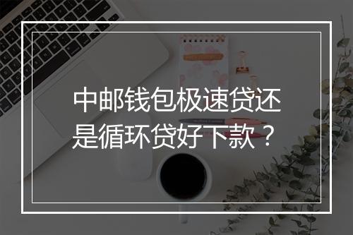 中邮钱包极速贷还是循环贷好下款？