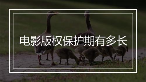 电影版权保护期有多长