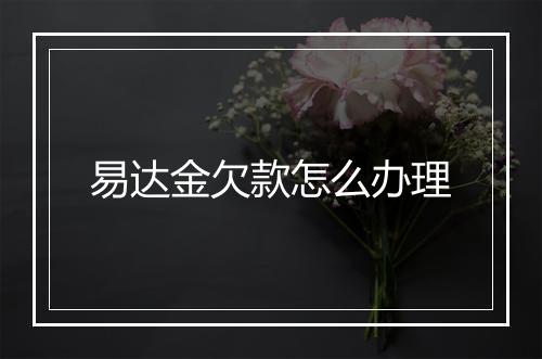 易达金欠款怎么办理
