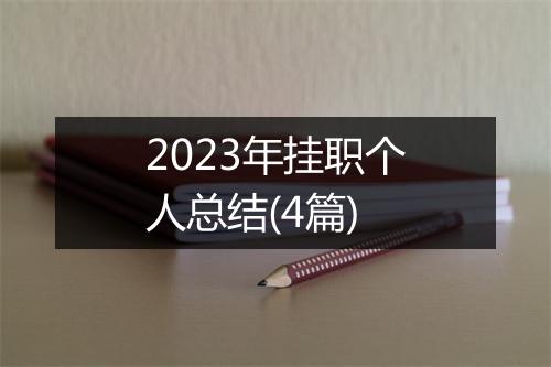 2023年挂职个人总结(4篇)