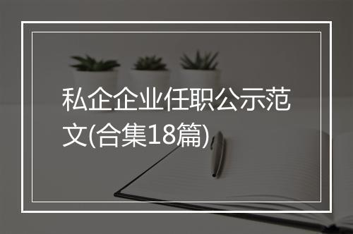 私企企业任职公示范文(合集18篇)