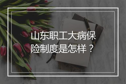 山东职工大病保险制度是怎样？