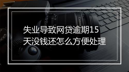 失业导致网贷逾期15天没钱还怎么方便处理