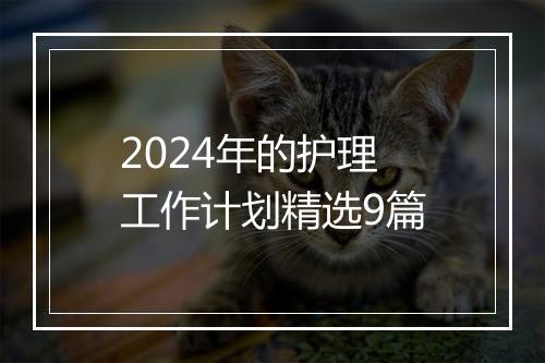 2024年的护理工作计划精选9篇