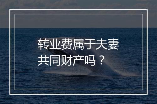 转业费属于夫妻共同财产吗？