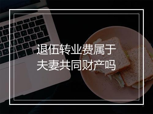退伍转业费属于夫妻共同财产吗