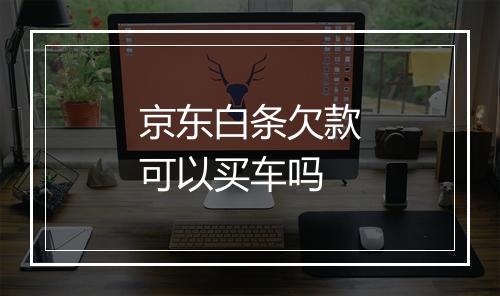 京东白条欠款可以买车吗