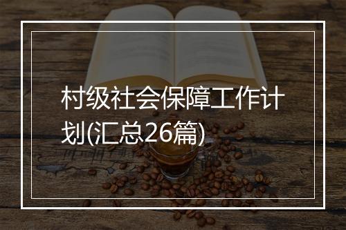 村级社会保障工作计划(汇总26篇)