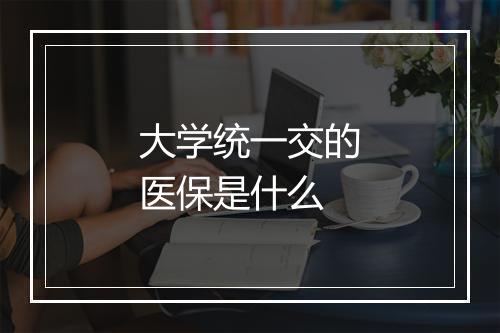 大学统一交的医保是什么