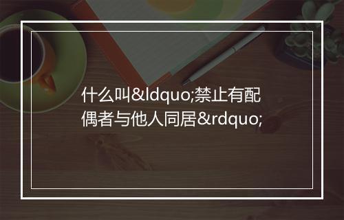 什么叫“禁止有配偶者与他人同居”