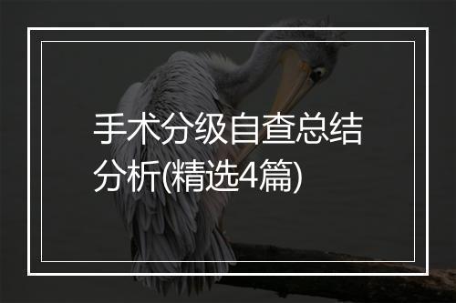 手术分级自查总结分析(精选4篇)