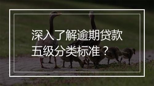 深入了解逾期贷款五级分类标准？