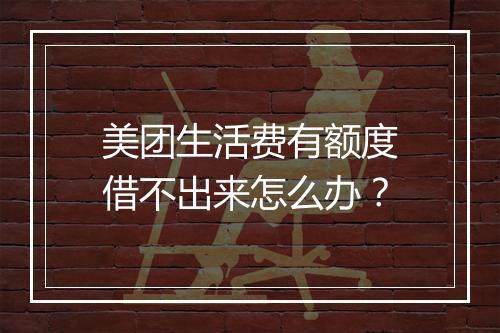 美团生活费有额度借不出来怎么办？