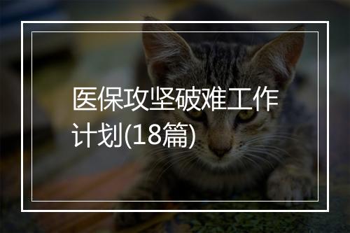 医保攻坚破难工作计划(18篇)