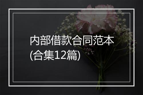 内部借款合同范本(合集12篇)