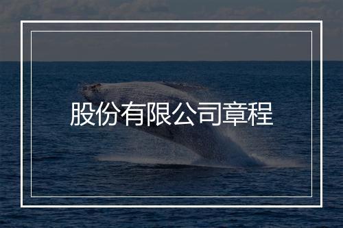 股份有限公司章程