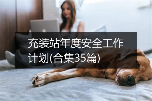 充装站年度安全工作计划(合集35篇)