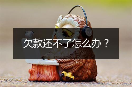 欠款还不了怎么办？