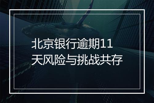 北京银行逾期11天风险与挑战共存