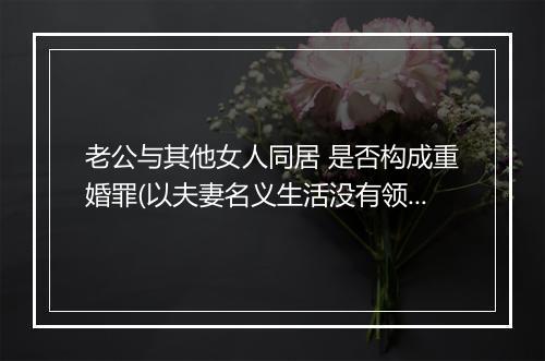 老公与其他女人同居 是否构成重婚罪(以夫妻名义生活没有领结婚证)