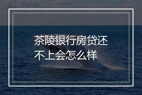 茶陵银行房贷还不上会怎么样