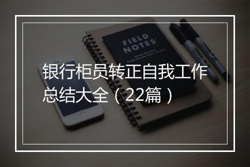 银行柜员转正自我工作总结大全（22篇）