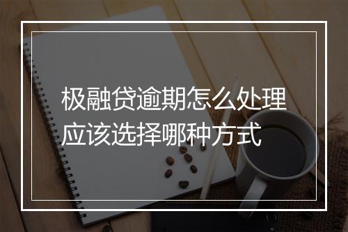 极融贷逾期怎么处理应该选择哪种方式